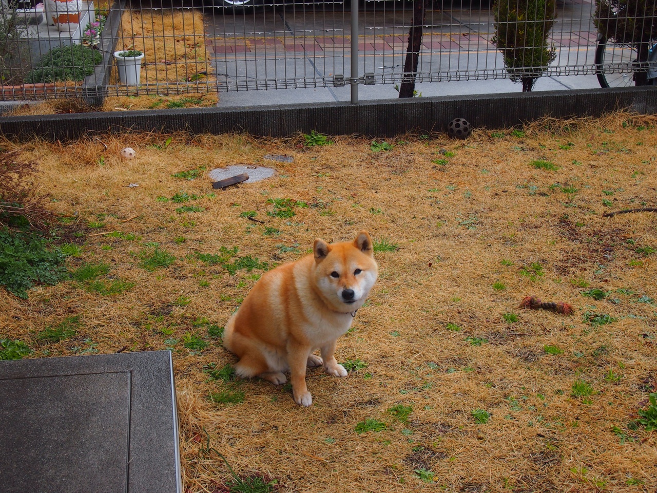 横扫的余温与爆发的火焰，爱德华兹在年度焦点战中的王者宣言