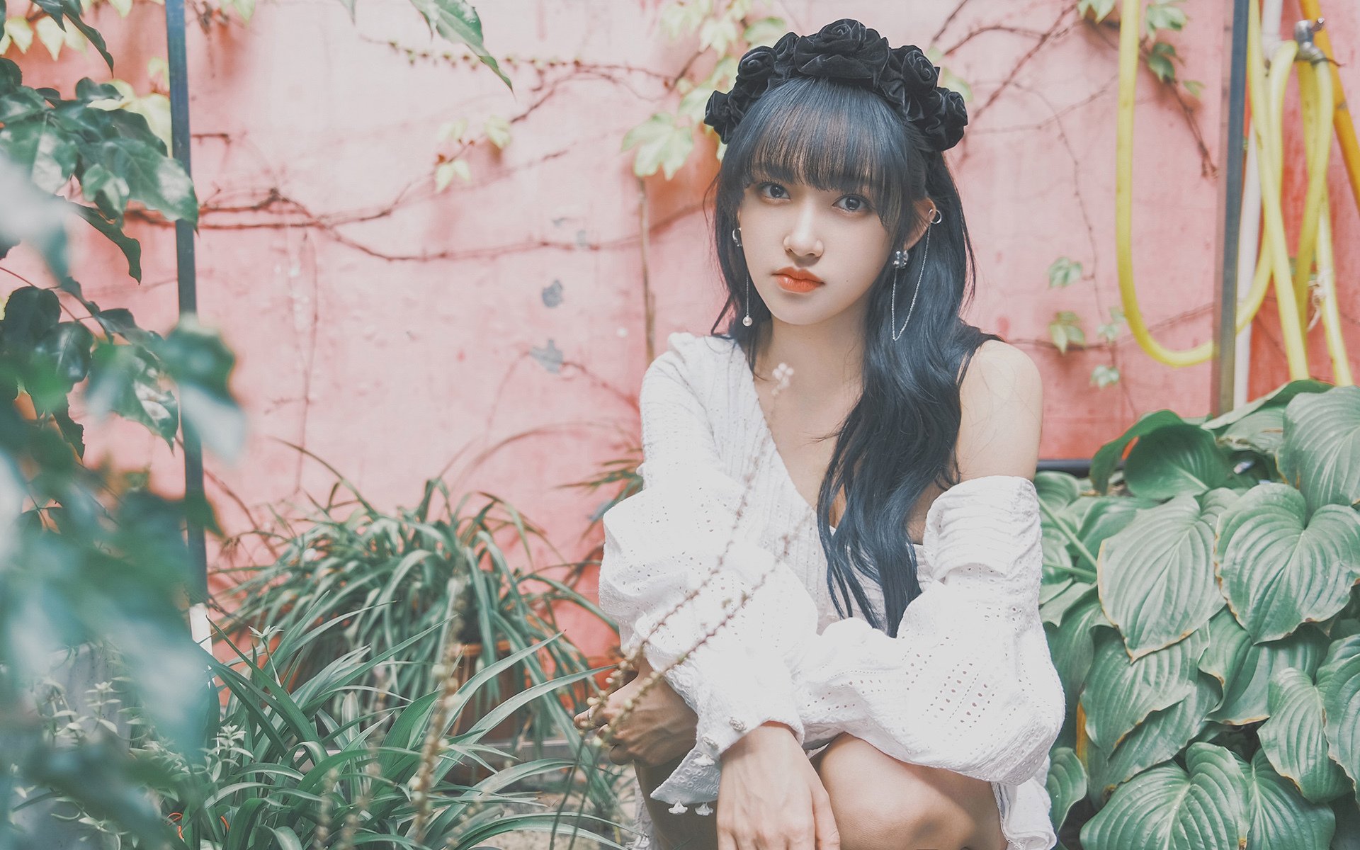 双城记，当欧冠烽火映照深圳篮球魂