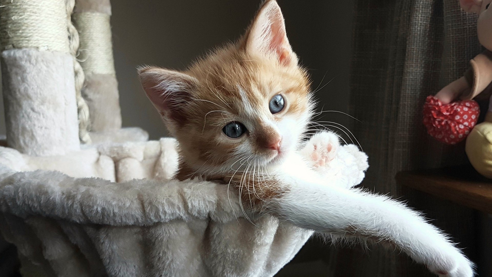 卡塞米罗一脚踢碎美国梦,洪都拉斯在深渊边缘完成自我救赎