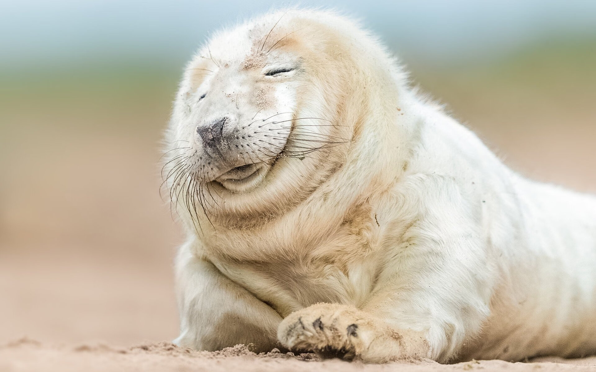 意式韧性与法式锐利,当拉齐奥的团队火焰照亮姆巴佩的个人星光