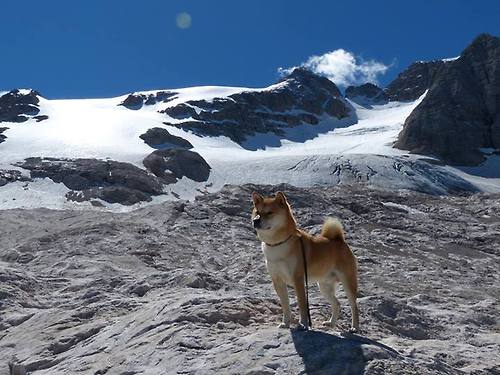 卡拉斯科天神下凡！澳大利亚4-0狂胜乌克兰，全场最佳无争议