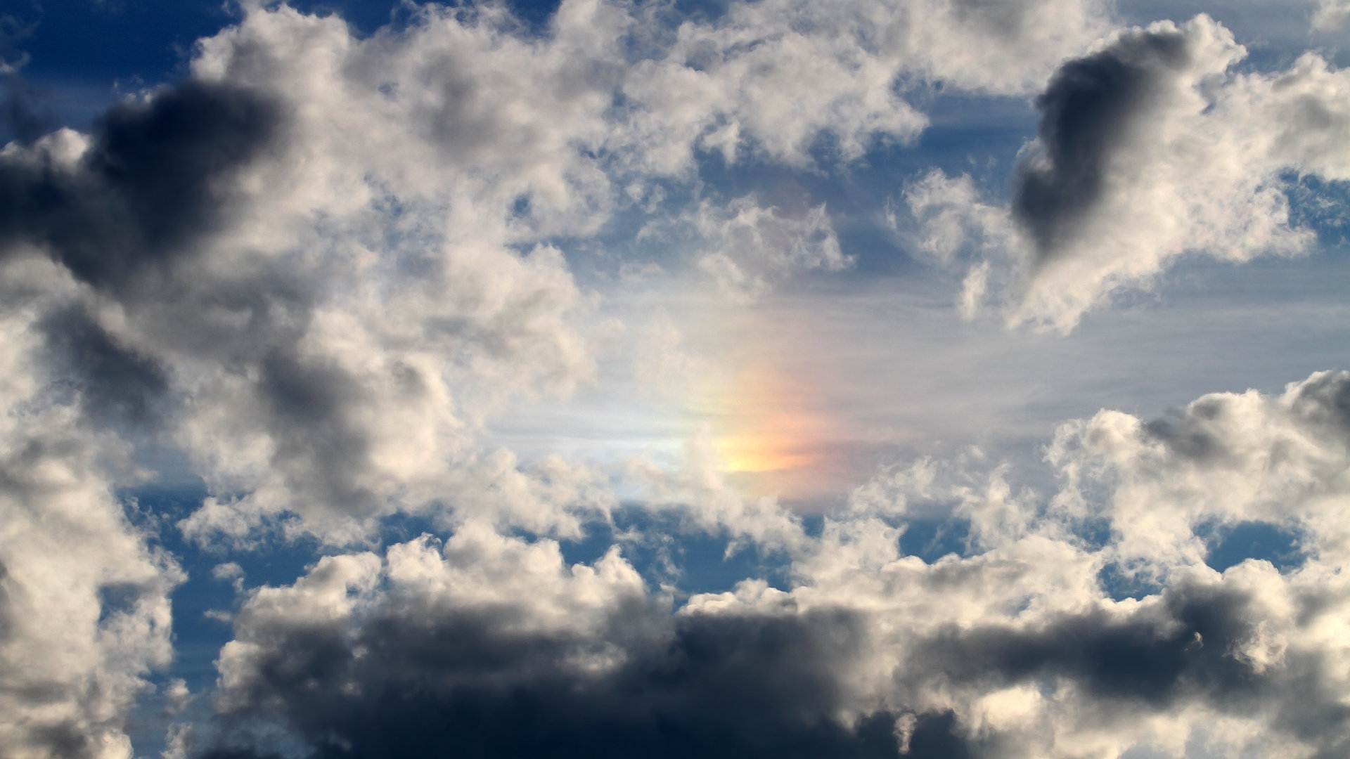 小贾伦·杰克逊如神降临！国王防线在他面前形同虚设