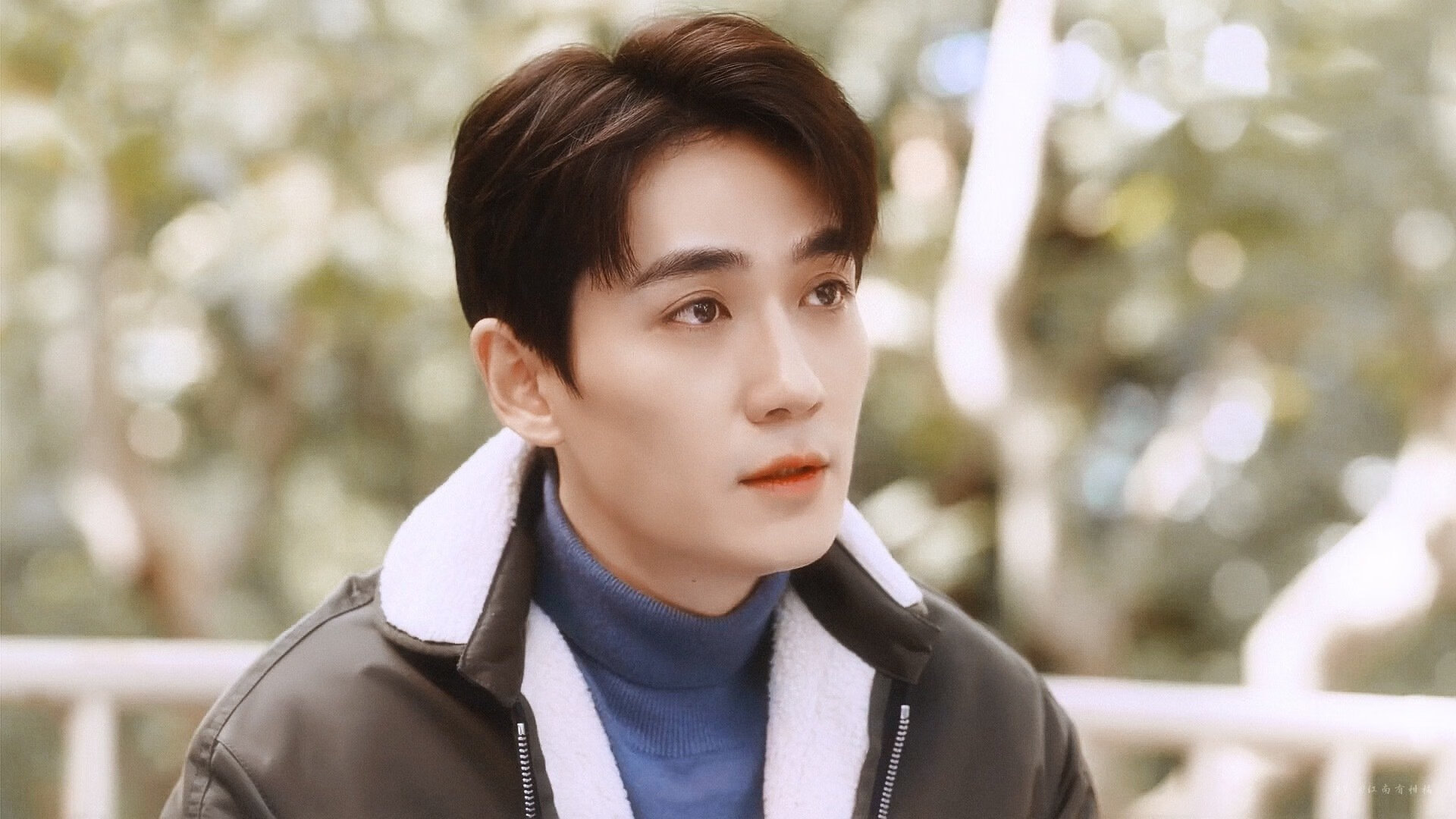 绿茵复仇与冷门三重奏，范戴克爆发背后的防守哲学与委内瑞拉淘汰日本的战术启示