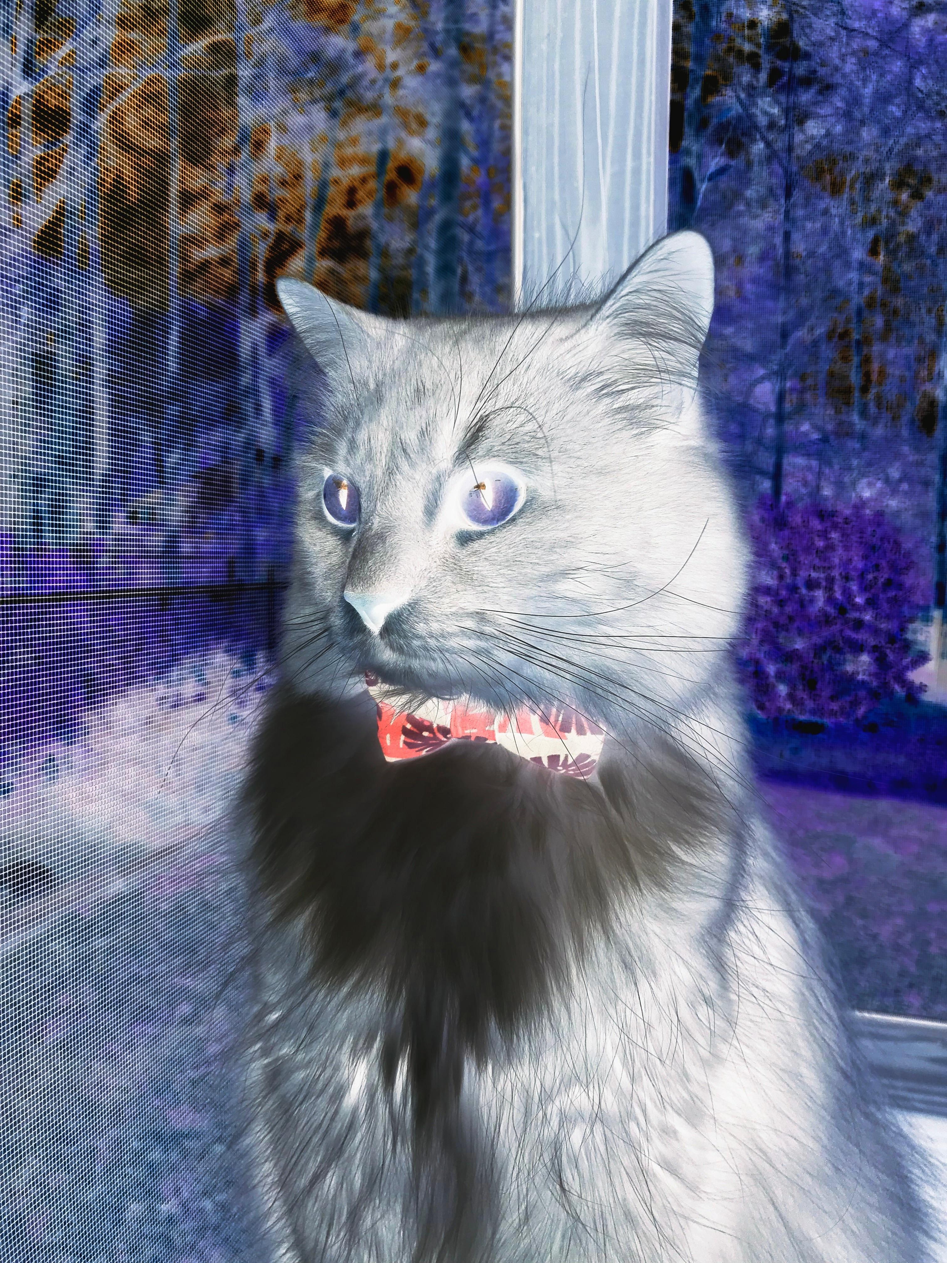 恩比德一人成军,绿衫军众志成城,现代篮球的两种无解