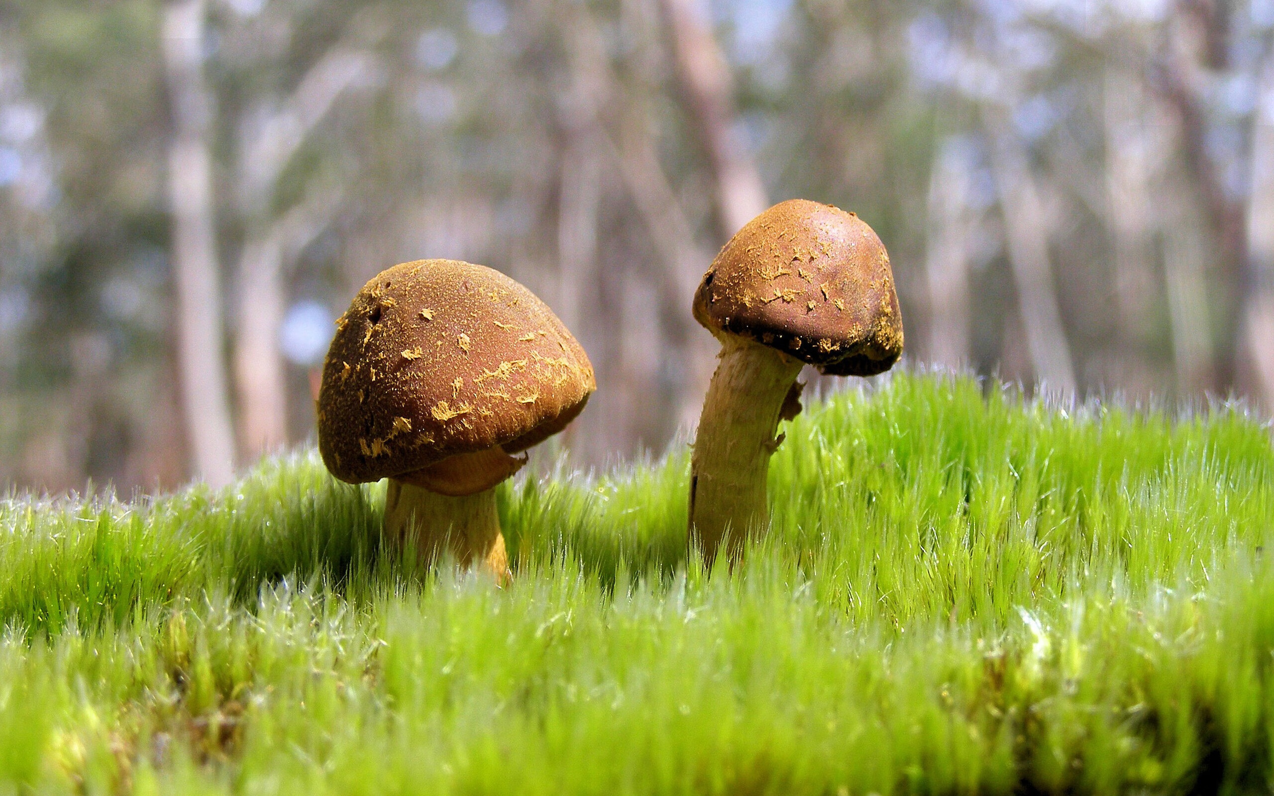 北国寒流席卷浦江，吉林生死战用冰与火写就逆袭史诗