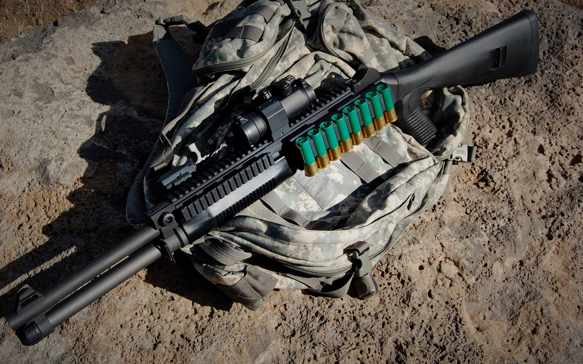 开云下载-当广厦签下字母哥，一场跨越次元的篮球实验